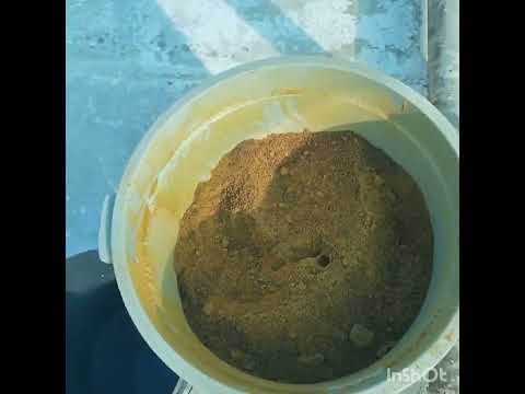 Видео: Рыбоводство. Кормление осетров "мальков" . Выход из сложной ситуации с кормом