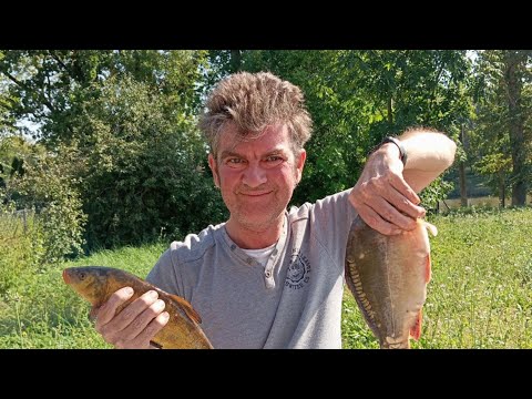 Видео: АСМР на рыбалке
