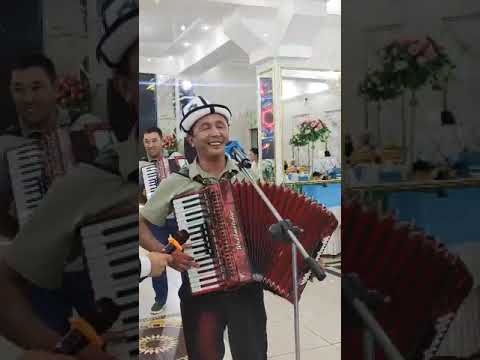 Видео: Жениш Акын Таш-Арык күйдүм чок