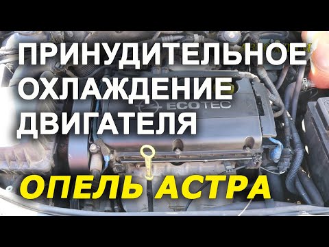 Видео: охлаждения двигателя. принудительное включение вентилятора   опель астра
