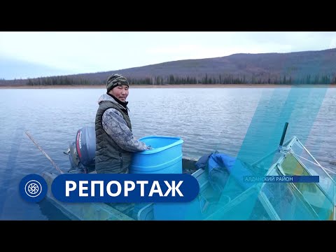 Видео: Репортаж: Экологи и общественность Томмота бьют тревогу