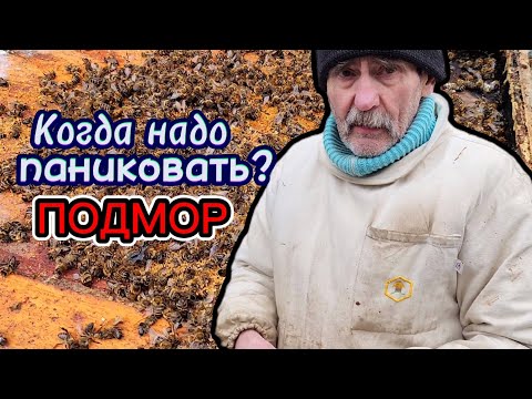 Видео: Самая грязная работа. 100 % ЗИМОВКА.