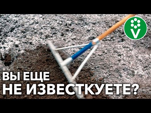 Видео: ИЗВЕСТКОВАНИЕ ПОЧВЫ – СРЕДСТВО ПОВЫШЕНИЯ УРОЖАЯ В РАЗЫ! Но как?