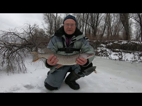 Видео: Ловля щуки, на балансир и жерлицы.