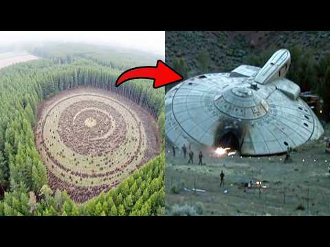 Видео: Самая БОЛЬШАЯ Тайна Полей 2025 - Кто Создает Эти Круги и Связано ли Это с НЛО?