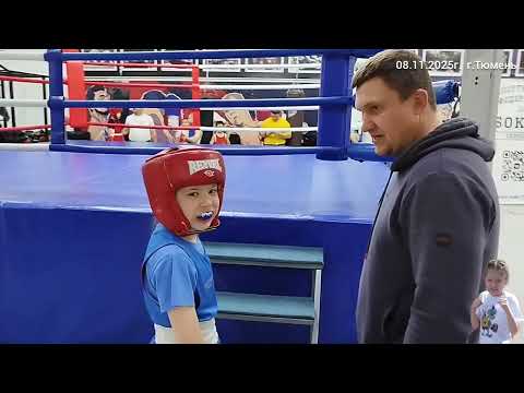Видео: Бокс Ульяна Турнир 08.11.2025г.