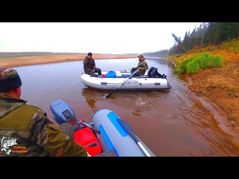 Видео: Таёжная рыбалка на сети 2020/Сделали полку/Заготовили рыбу.