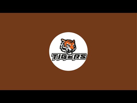 Видео: ХК TIGERS 2011 6:1 ХК СТРИЖИ 2011