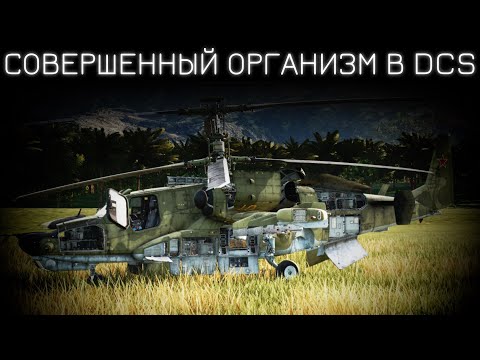 Видео: Чужой среди своих | Ка-50 в DCS (КВАС или БК) | Лампово практикуемся с чатом