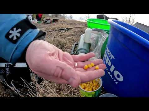 Видео: Перлово кукурузная рыбалка и просто весенняя перезагрузка головы, отчёт Но223