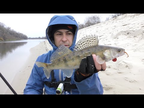 Видео: Ловля Судака на Десні. Коли Клює Судак на Спінінг