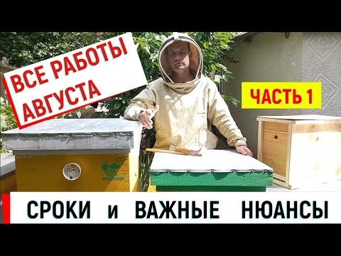 Видео: ВСЕ работы августа СРОКИ и ВАЖНЫЕ нюансы