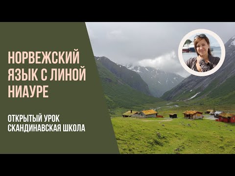 Видео: Открытый урок по норвежскому языку, преподаватель Ниауре Лина, 30.01.2021.