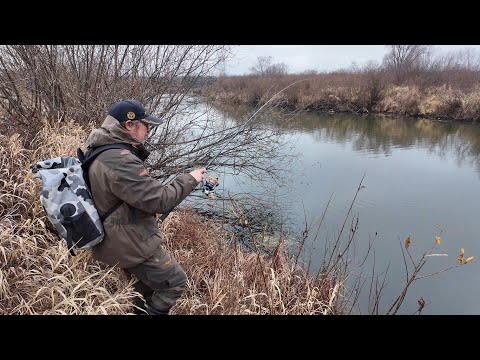 Видео: Щучки не дают скучать. Кудьма в ноябре. Рыбалка на спиннинг с берега.