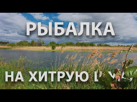 Видео: РЫБАЛКА НА ХИТРУЮ ЩУКУ