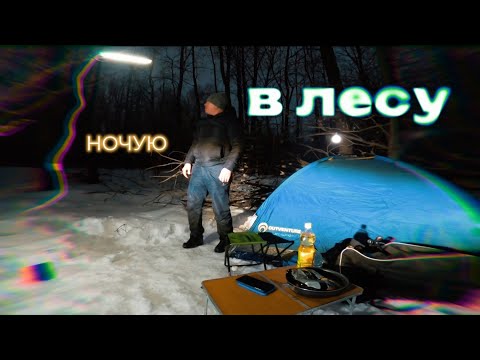 Видео: Ночую в лесу с палаткой.