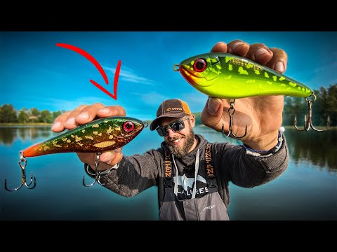 Видео: ЛОВЛЯ ЩУКИ: Равномерная или Рывковая Проводка (НЕОБЫЧНОЕ ПРОИСШЕСТВИЕ)