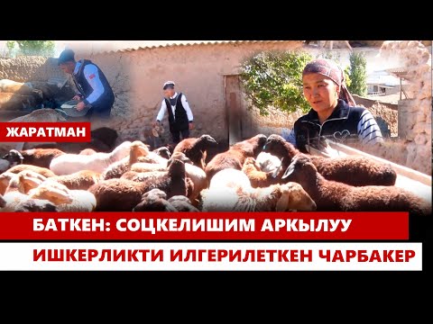 Видео: Баткен: Соцкелишим аркылуу ишкерликти илгерилеткен чарбакер