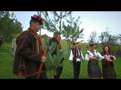 Видео: Гуцульське весілля, частина 1 | Древо