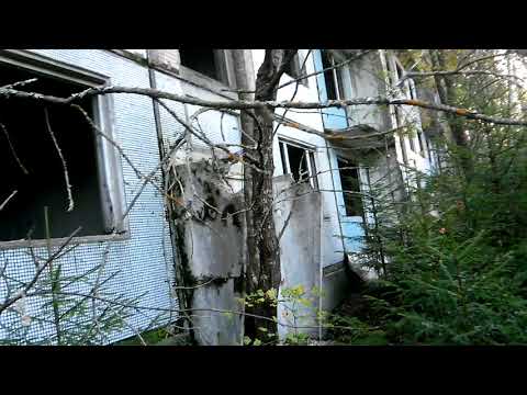 Видео: Загадочный объект в Брянском лесу