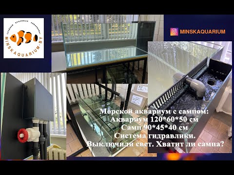 Видео: Морской аквариум 400 литров с нижним сампом. Проверяем самп.