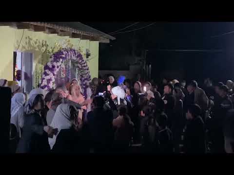 Видео: Туй 🇹🇯