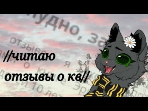 Видео: //Читаю негативные отзывы о котах воителях// (это такой ТРЭШ!) 👇