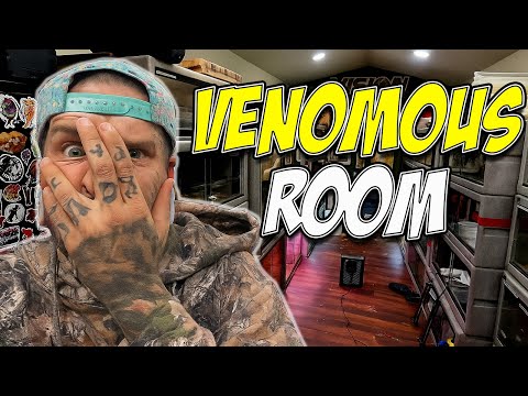 Видео: Дрессировка ядовитых змей *ПОШЛА НЕ ТАК*