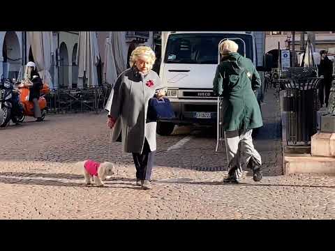 Видео: Padova , итальянский рынок , находки !