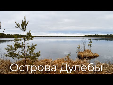 Видео: Острова Дулебы - дикие болота Беларуси [СНЯЛИ КОПТЕРОМ]