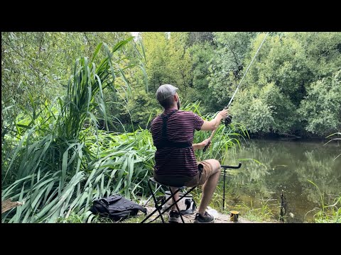 Видео: Фідерна риболовля на річці Стир липень 2024