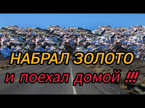 Видео: КАЖДЫЙ ДЕНЬ С ЗОЛОТОМ !!! 