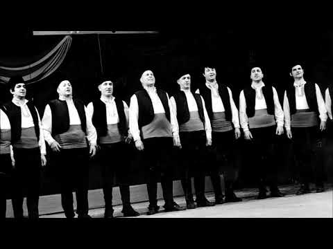 Видео: Пуста младост / Pusta mladost