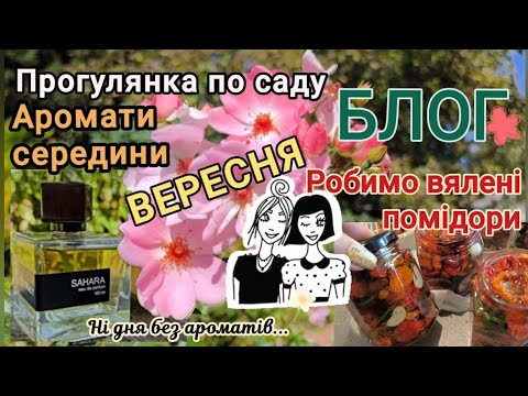 Видео: АРОМАТИ 💌 середини ВЕРЕСНЯ🌿 блог 🌞САД  ароматні заготовочки 🍅🥗на зиму. Огляд Sahara Extract🇺🇦