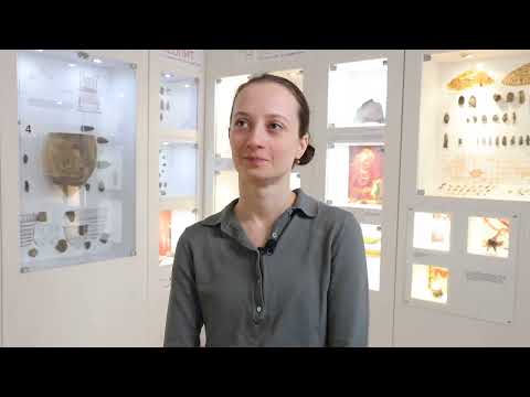 Видео: Что есть что. Выпуск 6