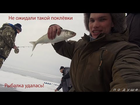 Видео: Рыбалка на глубинного омуля и что делать когда не клюёт!!! байкал, омуль на 1 кг!