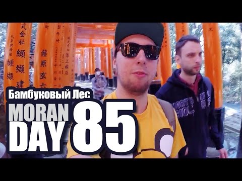Видео: Moran Day 85 - Бамбуковый Лес