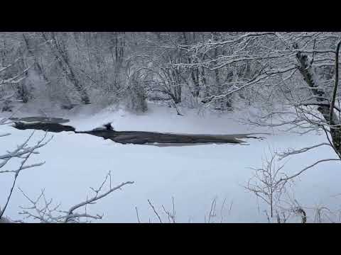 Видео: Часть 2. Вылазка в район поселка Тригубцы. Шкелевская мельница.