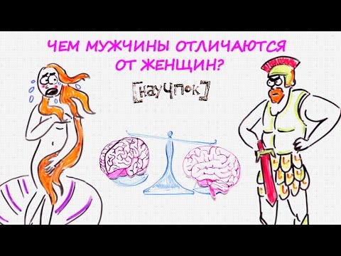 Видео: Чем мужчины отличаются от женщин? — Научпок
