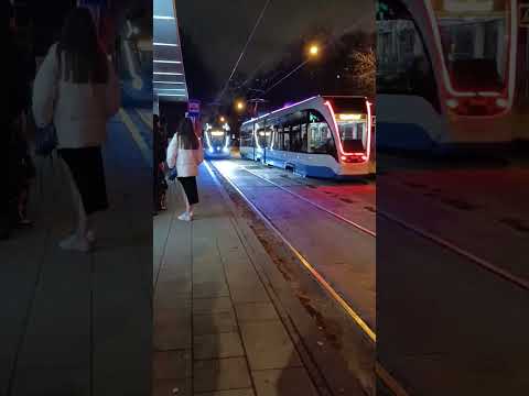 Видео: Трамвай номер 31