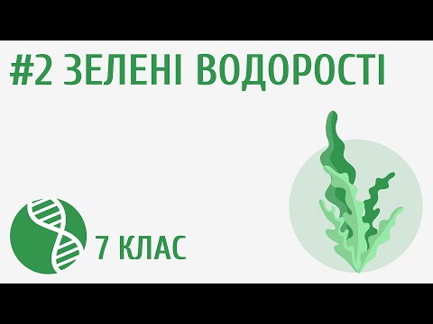 Видео: Зелені водорості #2