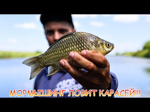 Видео: Мормышинг ловит КАРАСЕЙ!!! Спиннинг, приманки, мормышки... Монстры тоже ловятся на мормо!!!