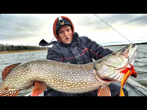 Видео: ЩУКИ-КРОКОДИЛЫ, ТОННЫ ЛЕЩА и 200кг ПРИКОРМКИ! ЯМА ПОЛНА РЫБЫ! Siberian fishing