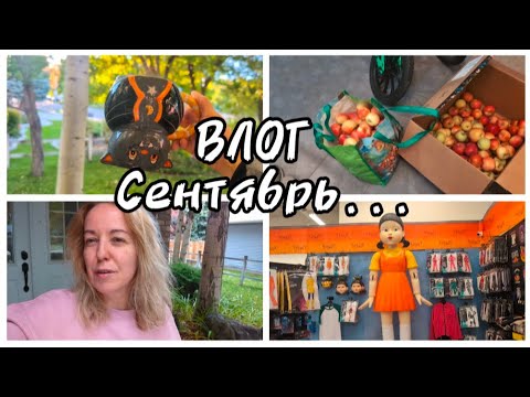 Видео: НАША НЕДЕЛЯ / ДОМАШНИЕ ДЕЛА/ ЯБЛОКИ, МАКДОНАЛЬДС МАГАЗИН УЖАСОВ! (качество видео в середине плохое)