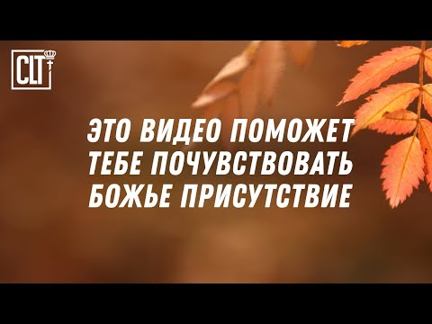 Видео: Слушай перед сном или в те моменты, когда особенно хочется быть ближе к Богу #СловоБожье #БогРядом