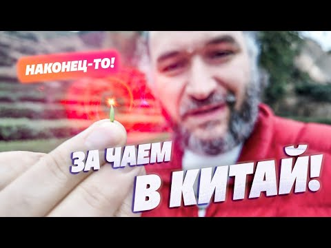 Видео: За чаем в Китай. Аутентичные фабрики и редкий чай из коллекции.