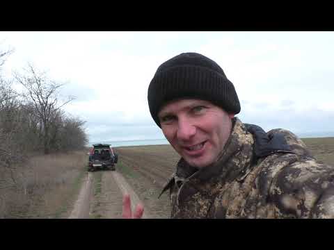 Видео: AZ-13 SPLpower GR-1084 (1000 RMS) краш тест