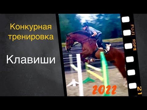 Видео: Конкурная тренировка с рыжиком : работаем клавиши. Гибкости и сила ₽