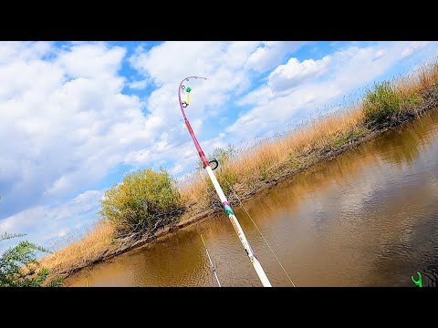 Видео: ПО ДИКИМ МЕСТАМ ЗА ТРОФЕЙНЫМ КАРАСЁМ! РЫБАЛКА НА ПРУЖИНЫ И МИНИ-БОЙЛЫ! Ловля карася на донки.