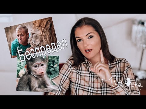 Видео: Люська гамадрил / Олег Зубков арестован / Нужны ли  зоопарки? / Парк Тайган